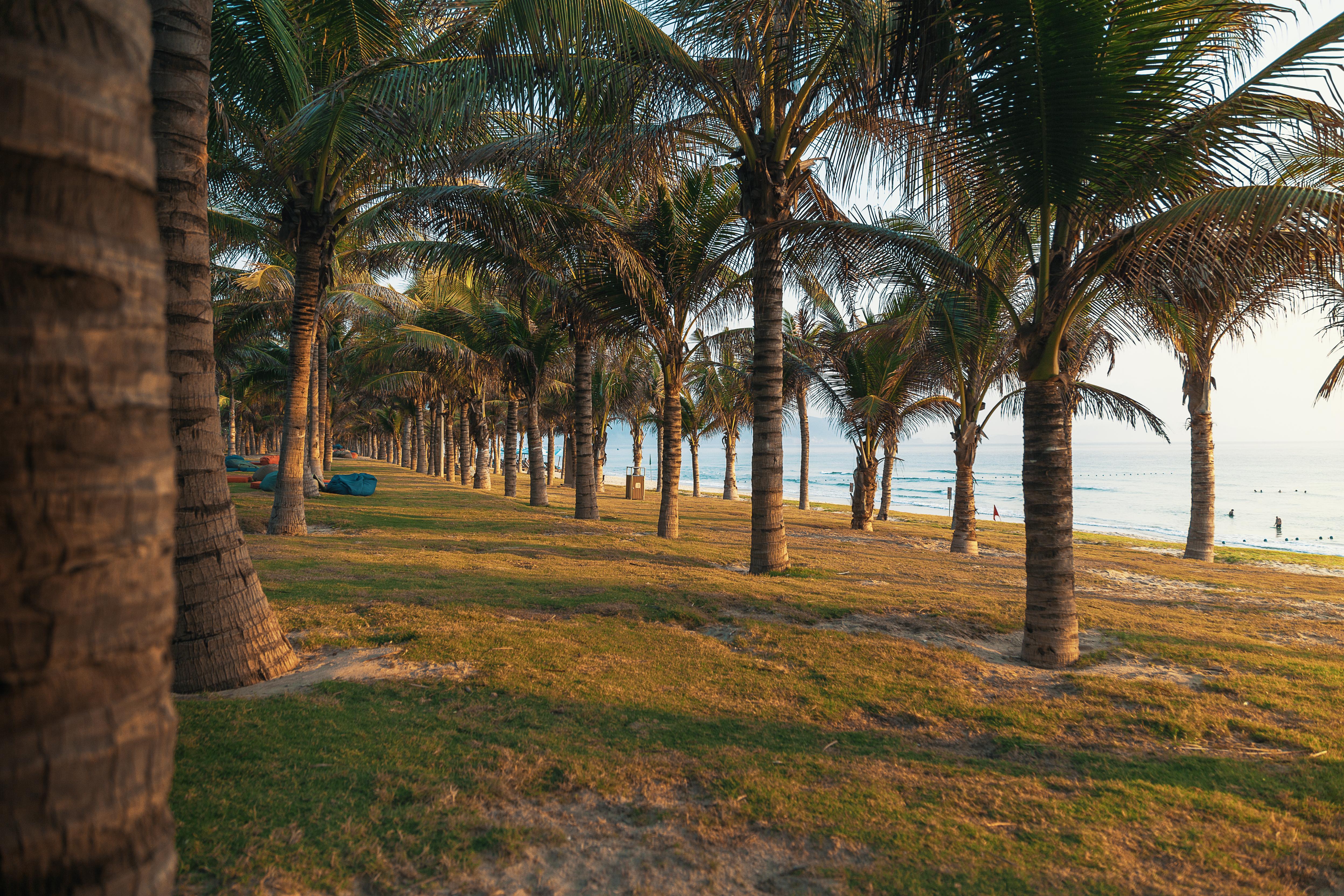Duyen Ha Resort Cam Ranh Bagian luar foto